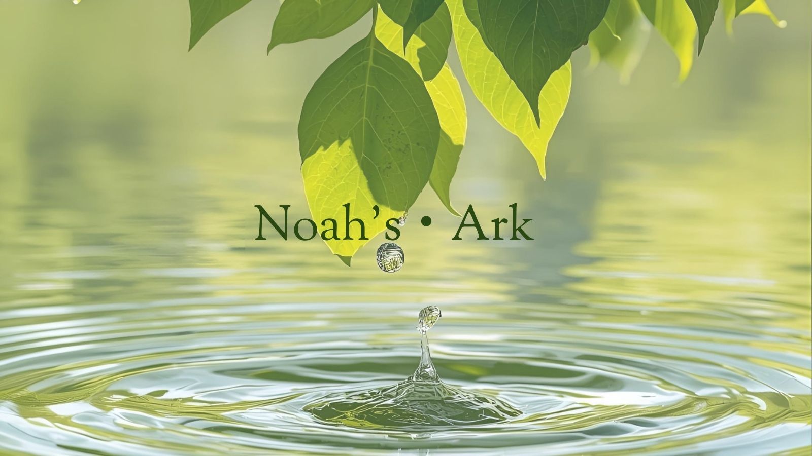 Noah's・Ark